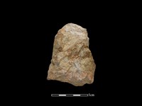 藏品(斧鋤形器)的圖片