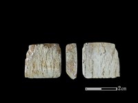 藏品(錛鑿形器)的圖片