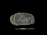 藏品(網墜)的圖片