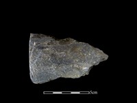 藏品(戈形器)的圖片