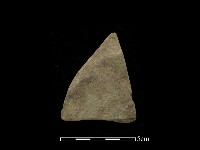 藏品(磨製石器)的圖片