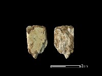 藏品(錛鑿形器)的圖片