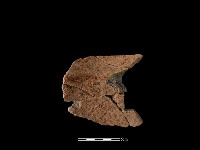 藏品(陶罐)的圖片