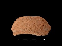 藏品(陶罐)的圖片