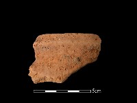 藏品(陶罐)的圖片