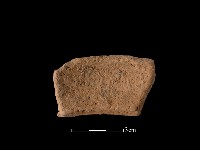 藏品(陶罐)的圖片