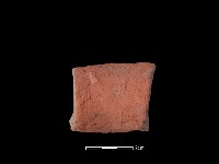 藏品(陶罐)的圖片