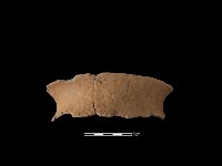 藏品(陶罐)的圖片