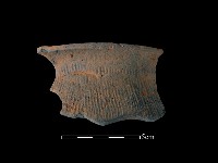 藏品(陶罐)的圖片