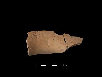 藏品(陶罐)的圖片