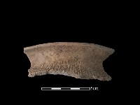 藏品(陶罐)的圖片