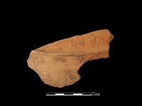 藏品(陶缽)的圖片