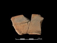 藏品(連杯形器)的圖片