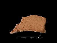 藏品(連杯形器)的圖片