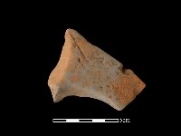 藏品(連杯形器)的圖片