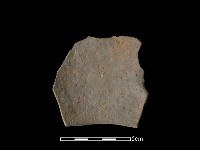 藏品(陶片)的圖片