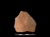 藏品(陶片)的圖片