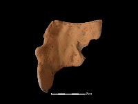 藏品(陶片)的圖片