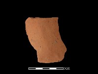 藏品(陶片)的圖片