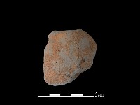 藏品(陶片)的圖片