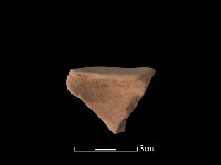 藏品(陶片)的圖片