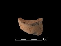 藏品(陶片)的圖片