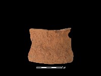 藏品(陶片)的圖片