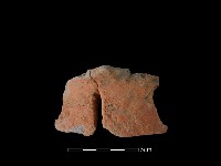 藏品(陶片)的圖片