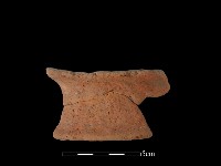 藏品(陶片)的圖片