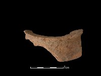 藏品(陶片)的圖片