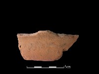 藏品(陶片)的圖片