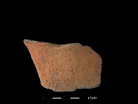 藏品(陶片)的圖片