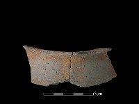 藏品(陶片)的圖片