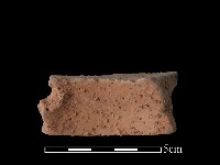 藏品(陶片)的圖片