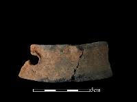 藏品(陶片)的圖片