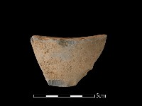 藏品(陶片)的圖片