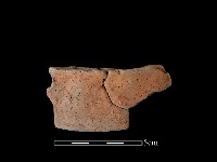 藏品(陶片)的圖片