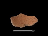 藏品(陶片)的圖片