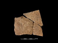 藏品(陶片)的圖片