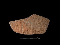 藏品(陶片)的圖片