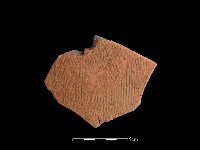 藏品(陶片)的圖片