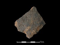 藏品(陶片)的圖片