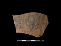 藏品(陶片)的圖片