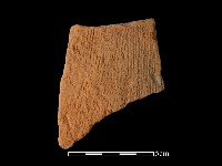 藏品(陶片)的圖片