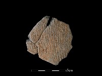 藏品(陶片)的圖片