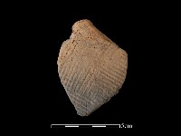 藏品(陶片)的圖片