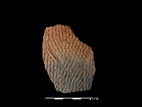 藏品(陶片)的圖片