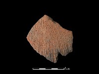 藏品(陶片)的圖片