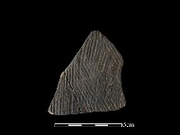 藏品(陶片)的圖片