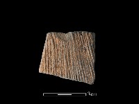 藏品(陶片)的圖片